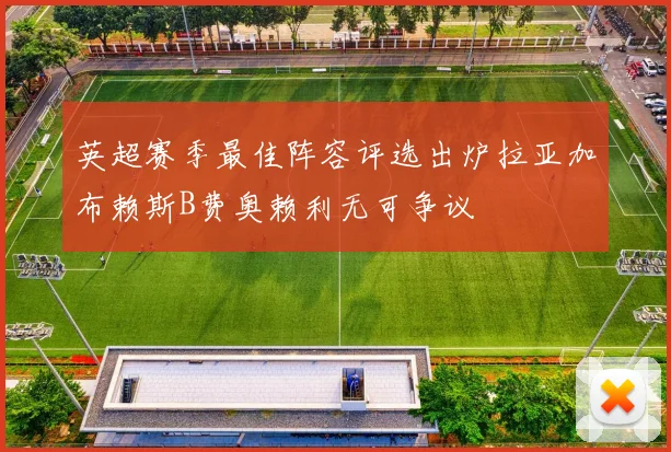 英超赛季最佳阵容评选出炉拉亚加布赖斯B费奥赖利无可争议