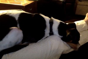 Photo on 3-14-14 at 9.47 PM #2