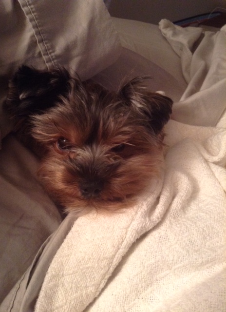 277E3C4F-5E9A-4BDC-AF1D-0E5D47B0F53E