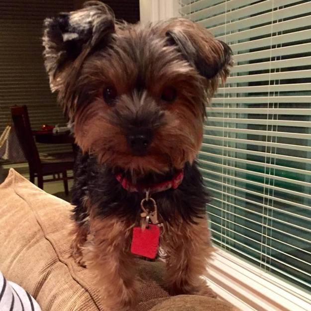 12795547_10206193592467964_3020761146553421471_n