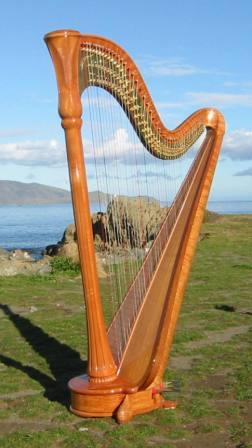 kim webby harp 2